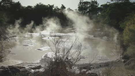 actividad geológica piscina de lodo burbujeando lejos