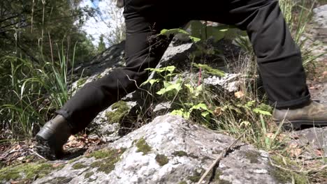 persona caminando en un bosque con terreno rocoso