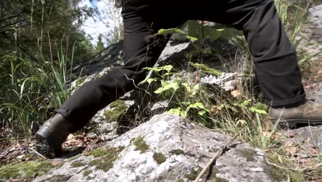 person hiking in a forest with rocky terrain