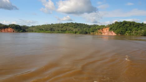 amazon river water in the amazon rainforest brazil