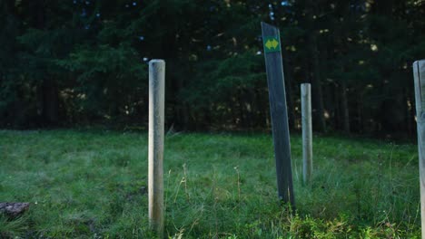 Ein-Radfahrer-Steigt-Auf-Sein-Mountainbike