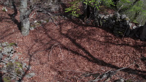 Ruinas-De-Una-Civilización-Perdida-Cubiertas-De-Hojas-De-Otoño-En-El-Bosque