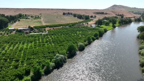 Vista-Aérea-Del-Río-Yakima-Que-Atraviesa-Las-Tierras-De-Cultivo-Rurales-De-Washington.