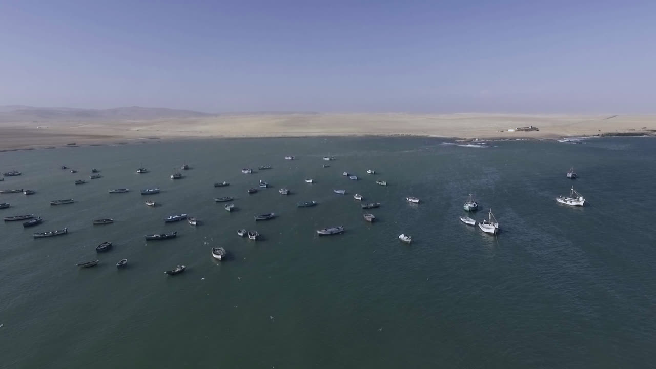 Long drone shot of the beach coastline with many small fishing boats with birds and seagulls flying around