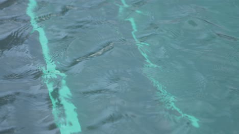 close up shot of the water in public swimming pool