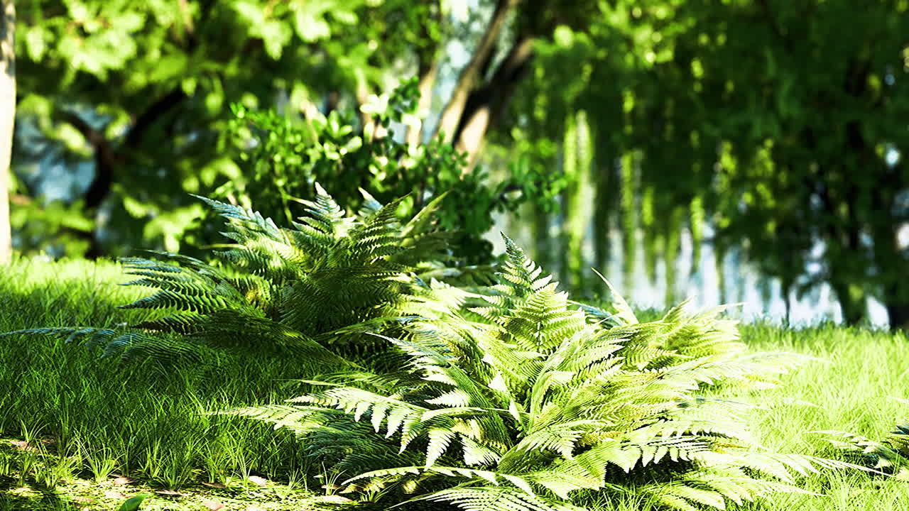 Lush green ferns by a serene pond on a sunny afternoon