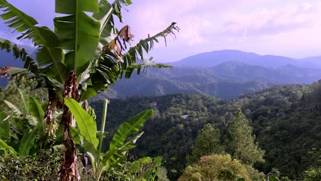 las montañas azules en jamaica, caribe, américa central