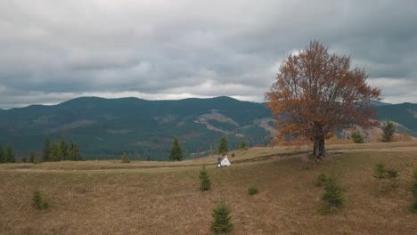 Lovely-young-newlyweds-bride-groom-walking-on-mountain-slope,-wedding-couple-family,-aerial-view