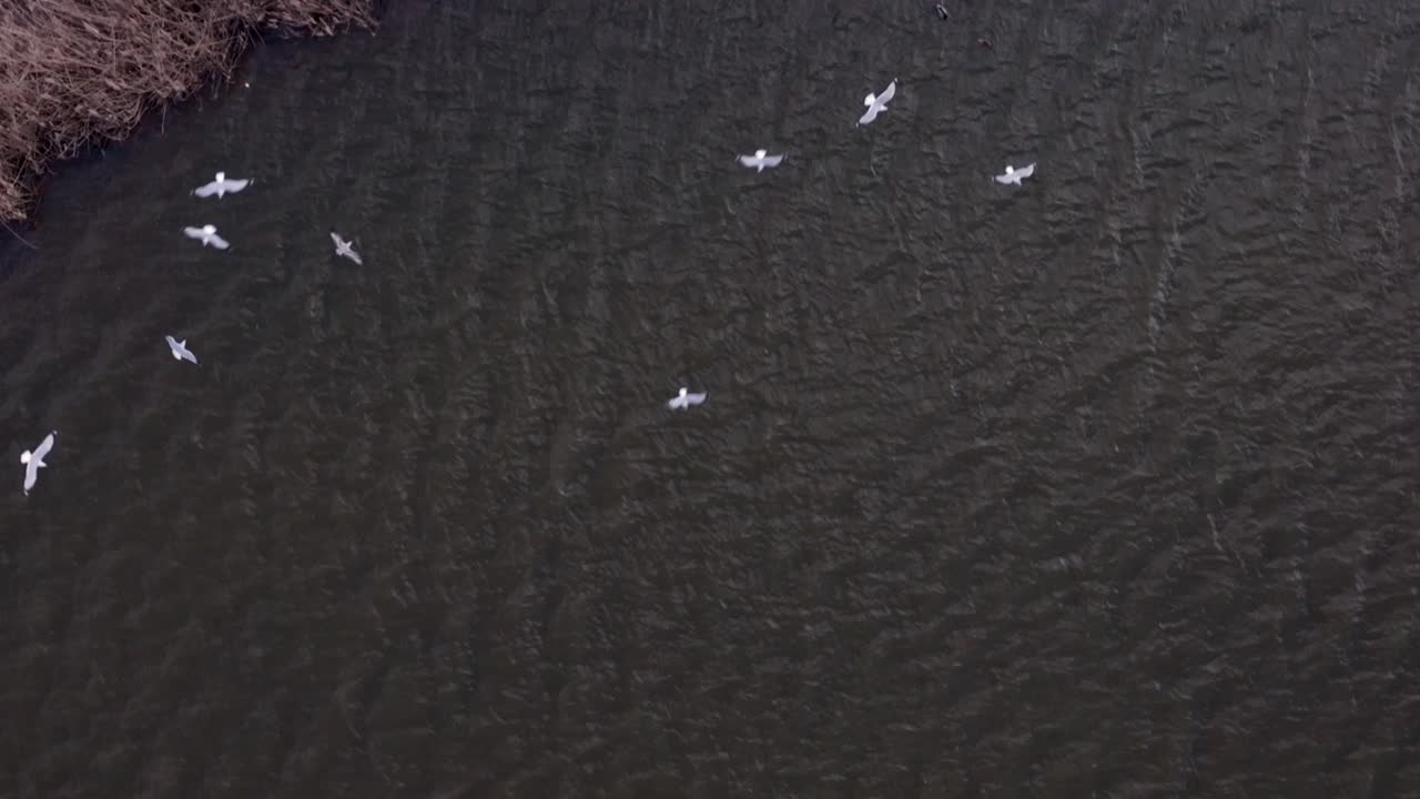 스 (queens) 의 메도우 호수 (meadow lake) 의 공중 풍경