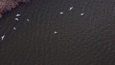 An-aerial-view-of-Meadow-Lake-in-Queens,-NY-on-a-sunny-day