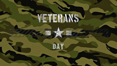 día de los veteranos con estrellas y rayas en textura militar verde