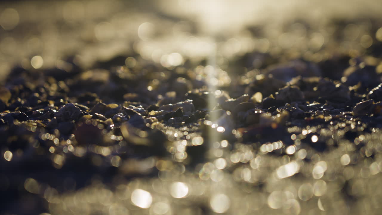 모래에 포탄의 꽉 샷