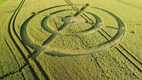 Hackpen-hill-mysterious-wheat-field-crop-circle-design-in-green-furrow-farmland-aerial-low-angle-view-rotating