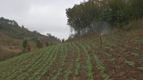 Sprinklers-system-on-a-sloping-field