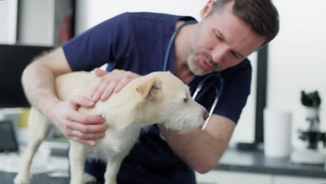 Porträt-Eines-Kaukasischen-Männlichen-Tierarztes-In-Einer-Medizinischen-Klinik.