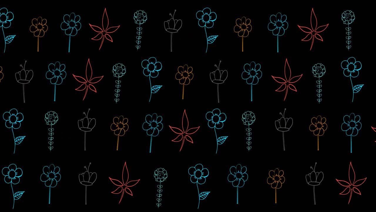 검은 바탕에 다채로운 꽃의 애니메이션