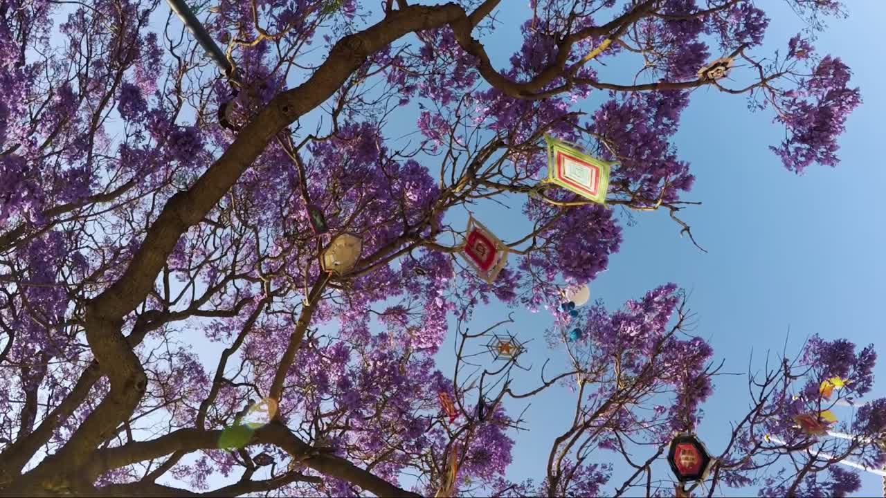 árbol morado con cometas hechas por niños