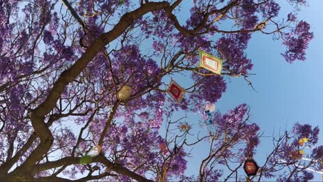 Purple-tree-with-kite's-made-by-children
