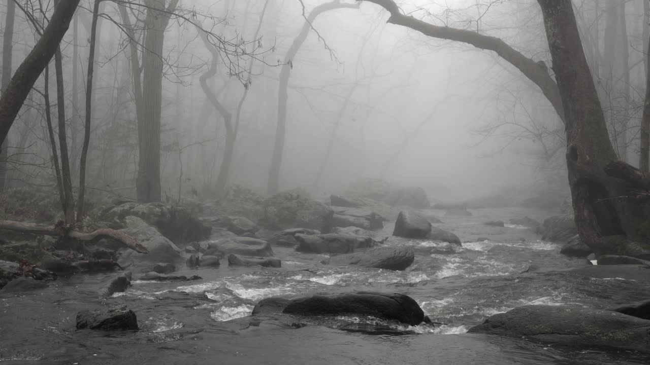 una vista amplia de un río que fluye en el bosque con árboles que sobresalen de las orillas
