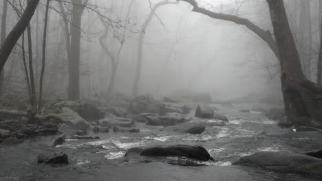 Ein-Weiter-Blick-Auf-Einen-Fließenden-Fluss-Im-Wald-Mit-Bäumen,-Die-Die-Ufer-überragen