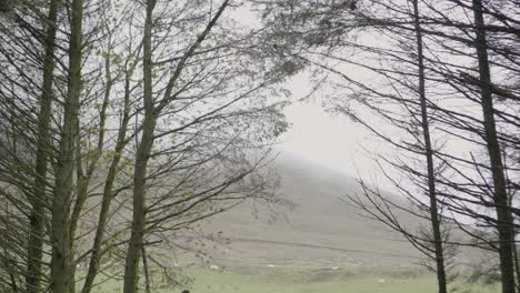 A-view-of-Pendle-Hill-in-Lancashire-on-a-foggy-autumn-day