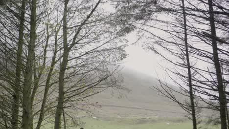 una vista de pendle hill en lancashire en un día de otoño con niebla