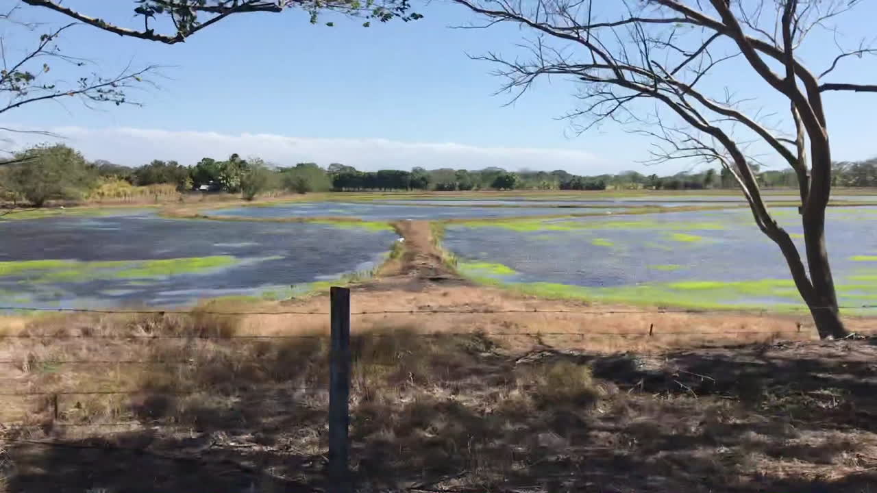 라구나 돈 마누엘 호수 도타 코스타리카