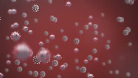 Animation-Von-Viruszellen-Auf-Rotem-Hintergrund