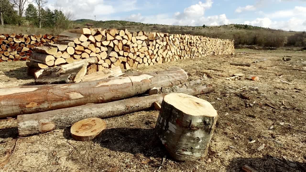 árboles cortados para el transporte y almacenados para la industria