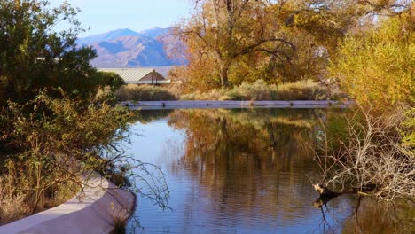 Desert-oasis-in-Nevada-wetlands