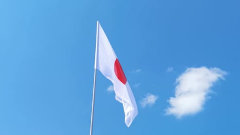 national country flag on sky background.