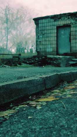 abandoned building with a door and fallen leaves