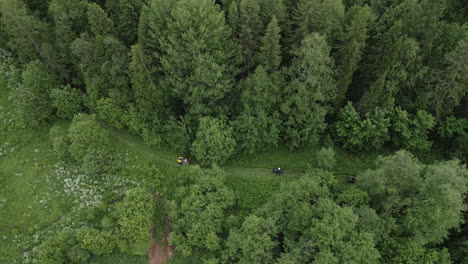 forest path with atvs