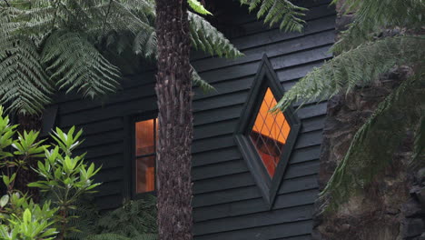 vista estática capturando el exterior de las ventanas de la casa rodeada por una selva exuberante