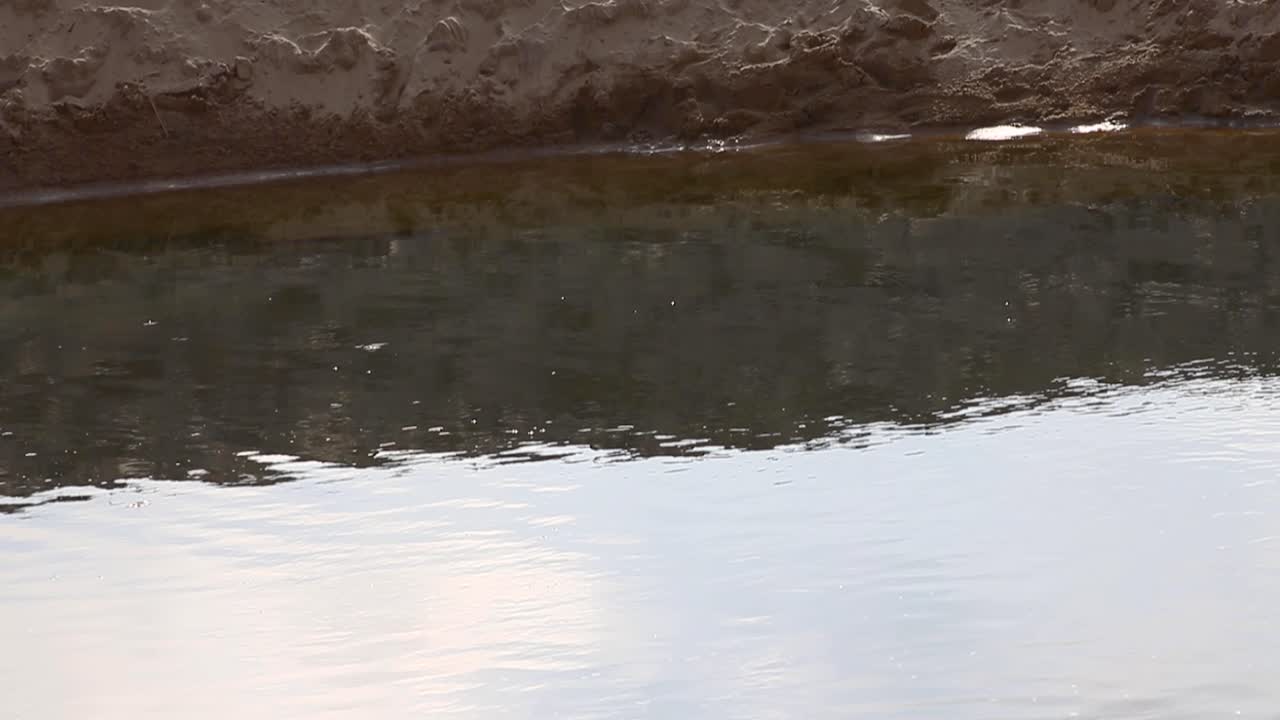 reflejos brillantes del sol en el agua