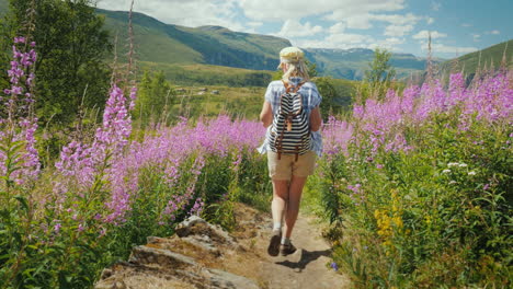 an active woman walks through a beautiful valley among flowering flowers against the backdrop of mou