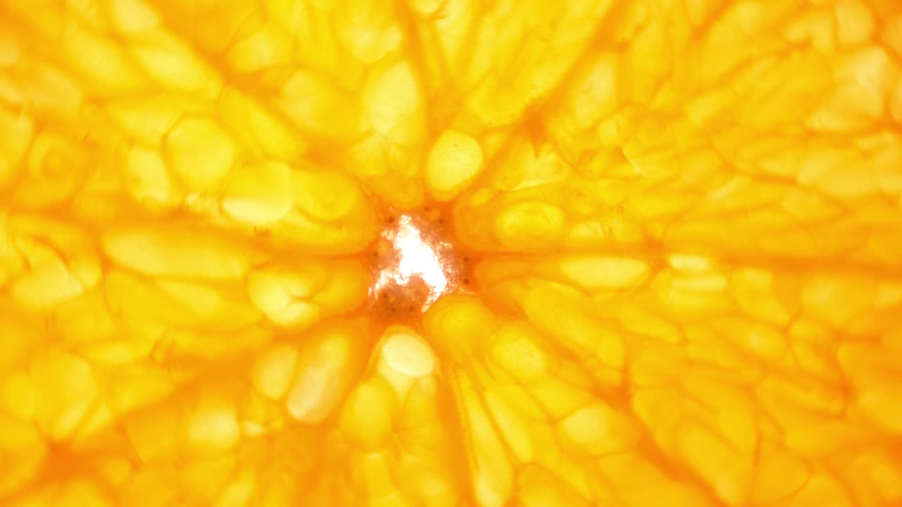 색 배경에 오렌지 슬라이스를 회전시키고, 투명한 오렌지 스라이스 추상적인 배경을 클로즈업합니다.