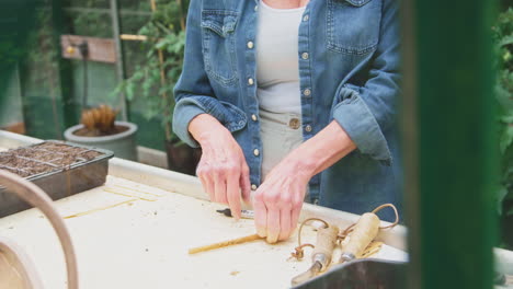 mature woman writing plant labels gardening in greenhouse at home