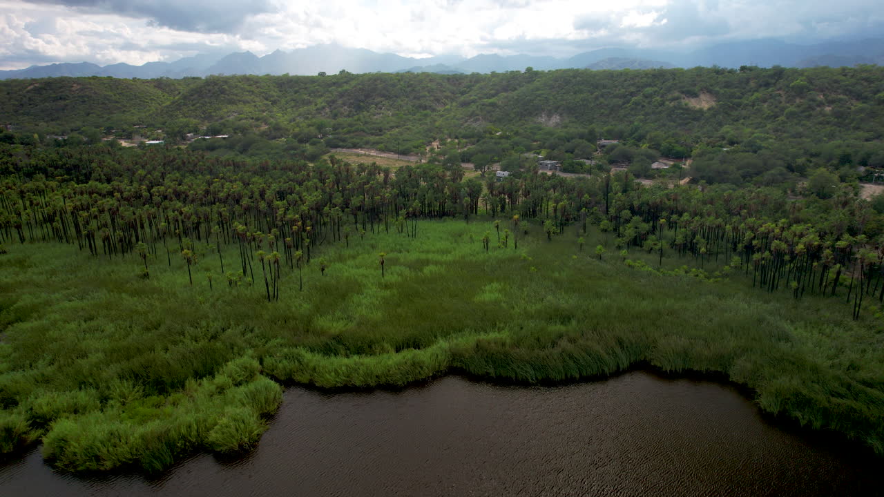 disparo de drone hacia atrás de un oasis en baja california sur cerca de los cabos méxico