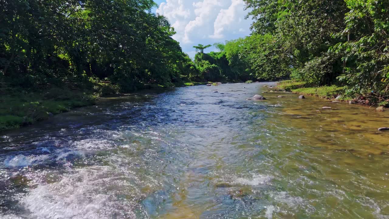 Clear water river flows through dense tropical vegetation in Río Maimón, Cotuí, Dominican Republic, near Barrick Gold mine. Aerial flyover