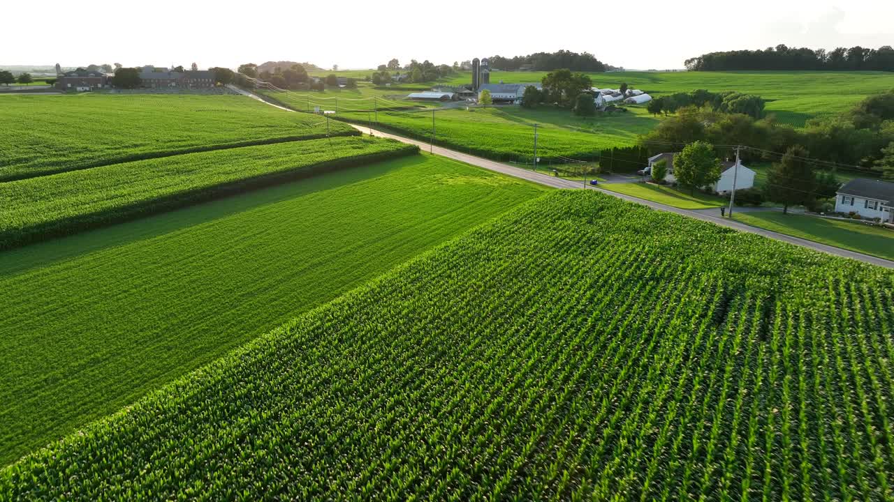 Green fields in rural USA farms
