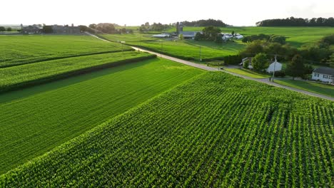 green fields in rural usa farms