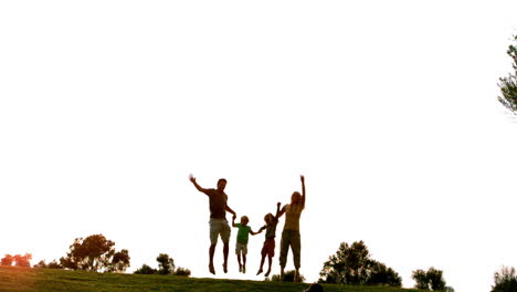 Family-jumping-in-the-air-in-park-