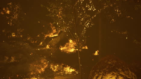 forest fire consumes trees and underbrush during a dry summer evening