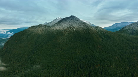 a stunning sprawled mountain covered with thick pine tree forest. drone approaching the snow-capped top of a huge mount. national park mount rainer, washington state, the usa.