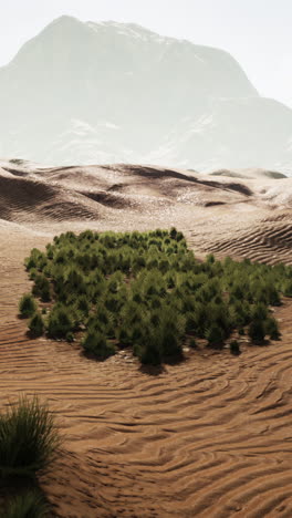 a lone patch of grass grows in the middle of a vast desert landscape with a mountain in the background