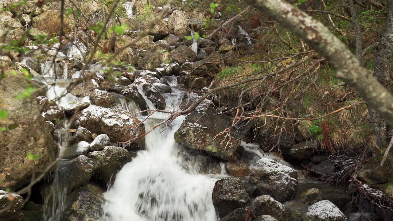 A mountain stream carrying its turbulent waters from the Buarbreen glacier through the green valley down, to join with Sandvevatnet lake near Odda. Stones are covered with moss and lichen