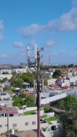 hidden antenna monopole cell phone tower as a fake tree above an urban residential area and schools - vertical video