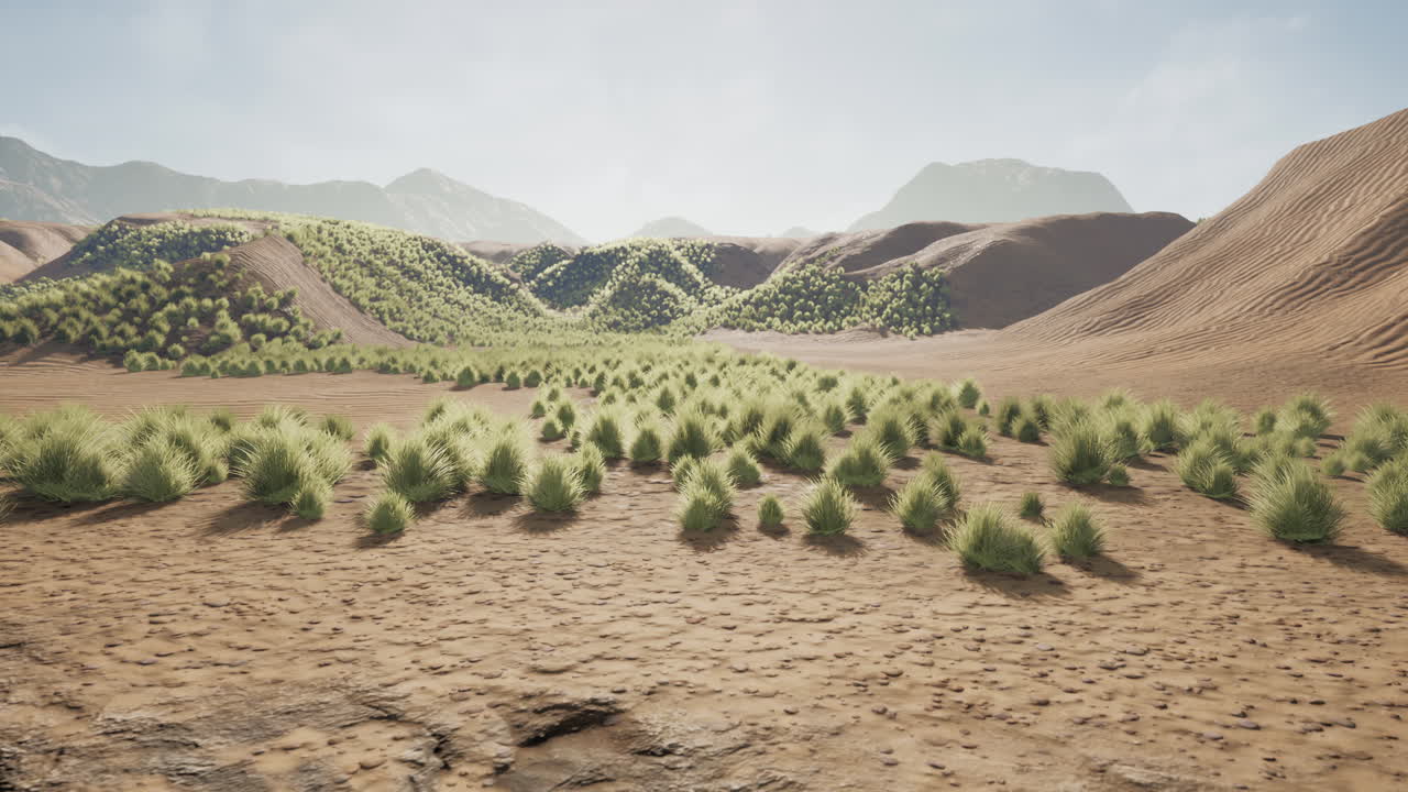 レッド・ロック・キャニオン国立公園