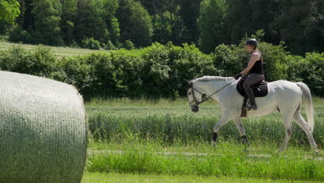 a-woman-passes-a-hay-bale-in-a-field-with-a-white-horse